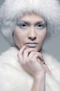 Snowy model in white fur Royalty Free Stock Photo