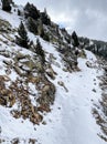 snowy mountain gorge with granite boulders and pine trees, some footprints in the snow, mountain route