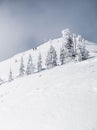 Snowy mountain landscape in cloudy weather near Rossland Range Royalty Free Stock Photo