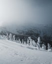 Snowy mountain landscape in cloudy weather near Rossland Range Royalty Free Stock Photo