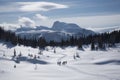 snowy mountain range, with skiers and snowshoers enjoying the winter scenery