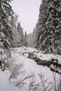 Snowy mountain river in the middle of the forest. Royalty Free Stock Photo