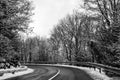 snowy mountain road snow cleared with trees black and white