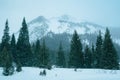 Snowy mountain scene, Montezuma, Colorado Royalty Free Stock Photo