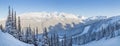 Snowy mountain trees with a view overlooking Blackcomb Mountain. Royalty Free Stock Photo