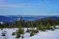 Snowy mountains country with green coniferous trees and lake in the background Royalty Free Stock Photo