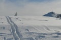 Snowy Mountains in Flachau Austria With Ski Tracks in the Snow