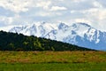 Snowy mountains in the southern region of the Republic of Kazakhstan. Aksu-Zhabagly Nature Reserve.