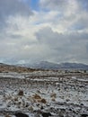 Snowy mountains and wintry pastures