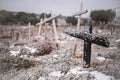 Snowy natural cemetery with wood crosses