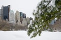 Snowy New York City Skyline