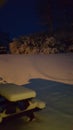 Snowy night Royalty Free Stock Photo
