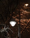 Snowy night tree and lantern in its braches. Dark light Royalty Free Stock Photo