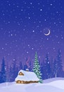 Snowy night vertical background