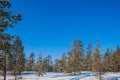 Snowy northern winter in Lapland