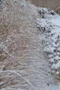 Snowy ornamental garden