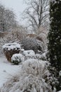 Snowy ornamental garden