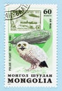 Snowy Owl, polar bear, ship and Zepplin on Postage Stamp in Stamp