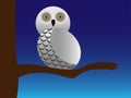 Snowy owl Royalty Free Stock Photo