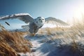 Snowy owl flying. Generate AI Royalty Free Stock Photo