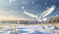 snowy owl in low flight in winter with snowfall