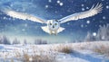 snowy owl in low flight in winter with snowfall