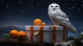 Snowy Owl Festive Perch: A Christmas Gift with Citrus Delight and Winter Night Ambiance Royalty Free Stock Photo