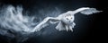 Snowy Owl Soaring. Snowy Owl in flight 05