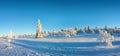 Snowy Panorama, Frozen Trees In Winter In Saariselka, Lapland Finland