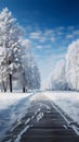 Snowy Panorama Winter Landscape Featuring Trees Covered In Glistening Snow