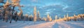 Snowy panoramic landscape, frozen trees in winter in Saariselka, Lapland Finland