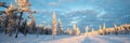 Snowy panoramic landscape at sunset, frozen trees in winter in Saariselka, Lapland Finland