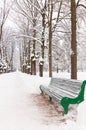 Snowy park Royalty Free Stock Photo