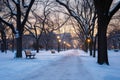 Snowy Park With Benches and Street Lights, A Winter Wonderland in the City, A twilight scene of a city park blanketed in snow, AI Royalty Free Stock Photo