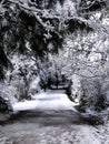 snowy park trail Royalty Free Stock Photo