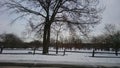 Snowy park