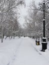 Snowy park Royalty Free Stock Photo