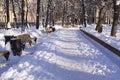 Snowy park at morning. background, seasonal.