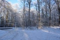 snowy parking lot in the winter forest, exit