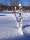 Snowy pasture fence Royalty Free Stock Photo