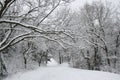 Snowy path