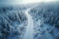 Snowy path in coniferous forest in winter, aerial drone view of white blue woods. Landscape with snow, road and frozen trees. Royalty Free Stock Photo