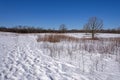 Snowy Path in a Frozen Prairie