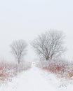 Lone hiker on snowy path through Illinois prairie