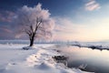 Snowy path winds through the enchanting beauty of the winter landscape