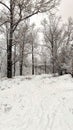 Snowy pathway with footprints in winter forest Royalty Free Stock Photo