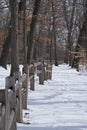 Snowy Pathway in a Park at Winter