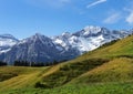 Snowy peaks and green meadows in the Swiss Alps Royalty Free Stock Photo