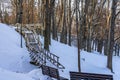 Snowy Photo of the Park on a Sunny Winter day - Wooden Footpath in the Middle of it, Concept of the Harmony and Travel Royalty Free Stock Photo