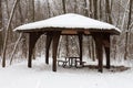 Snowy Picnic Pavilion